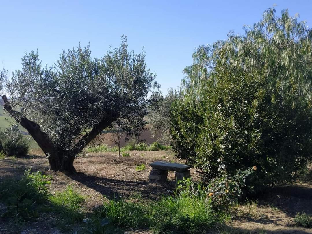 Masseria Baglio Perciata Camporeale Esterno foto